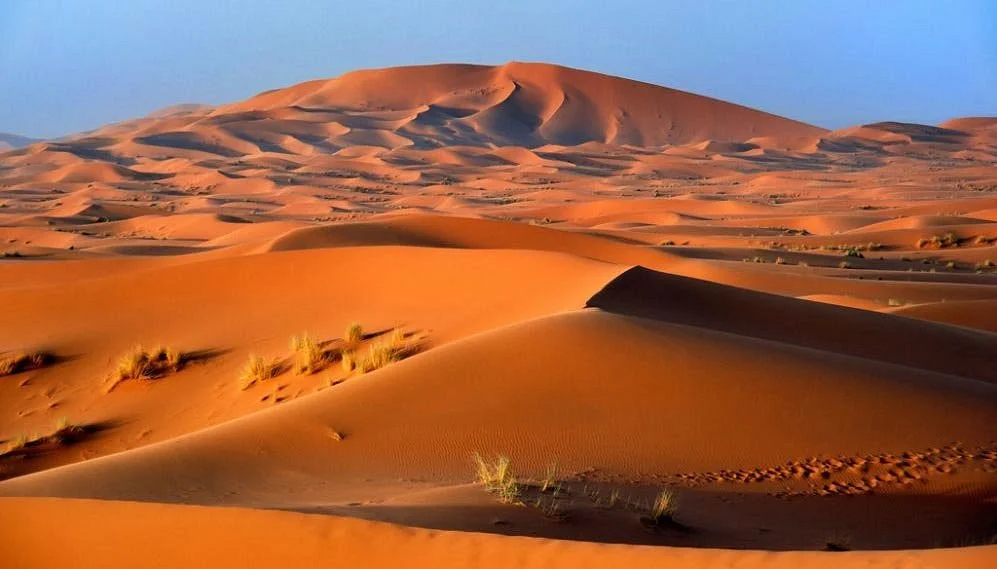 Sahara Desert Excursions