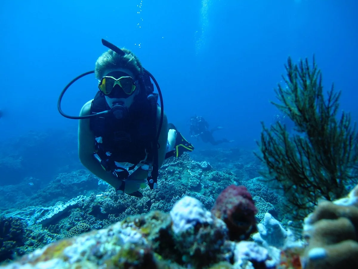 Amoray Diving