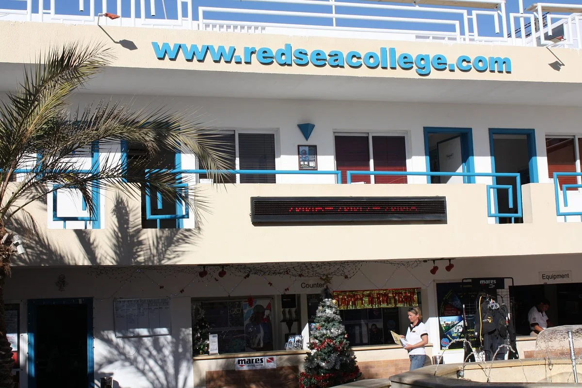 Red Sea Diving College
