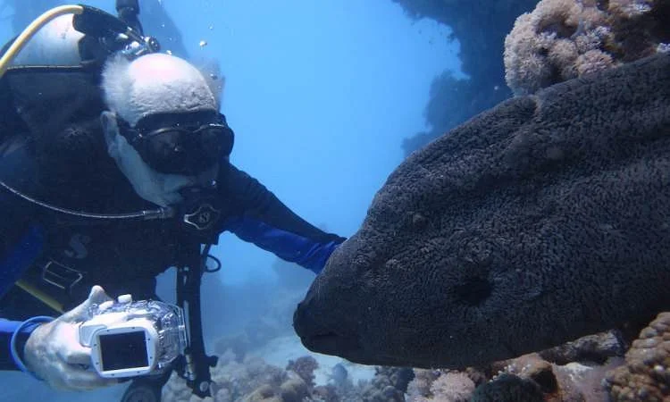 Red Sea Life Diving Center