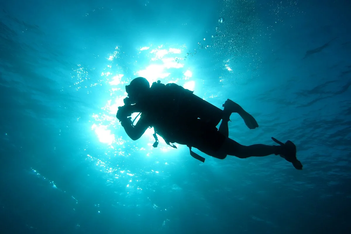 Pro Master Diving Club