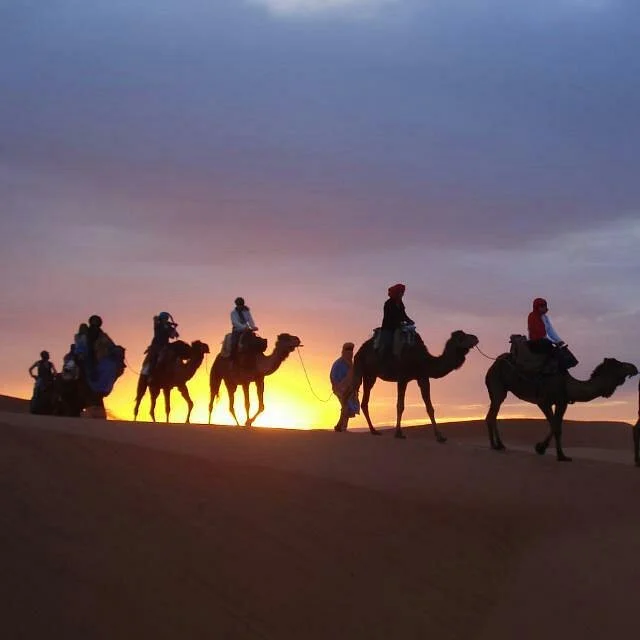 Sahara Exploring