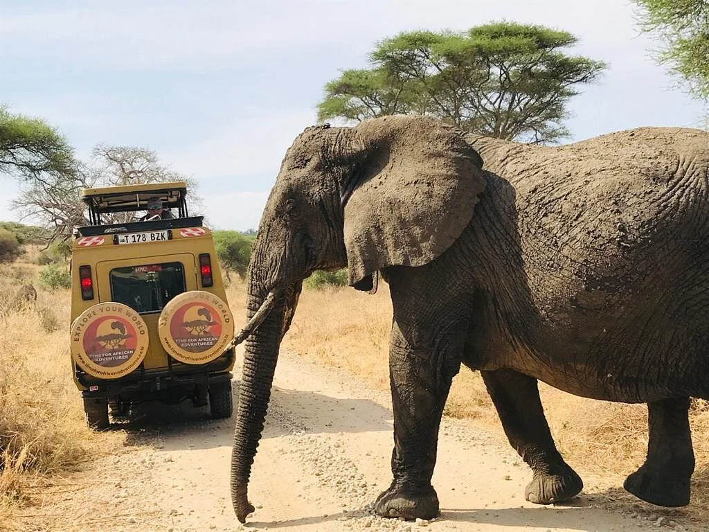 Time for African Adventures