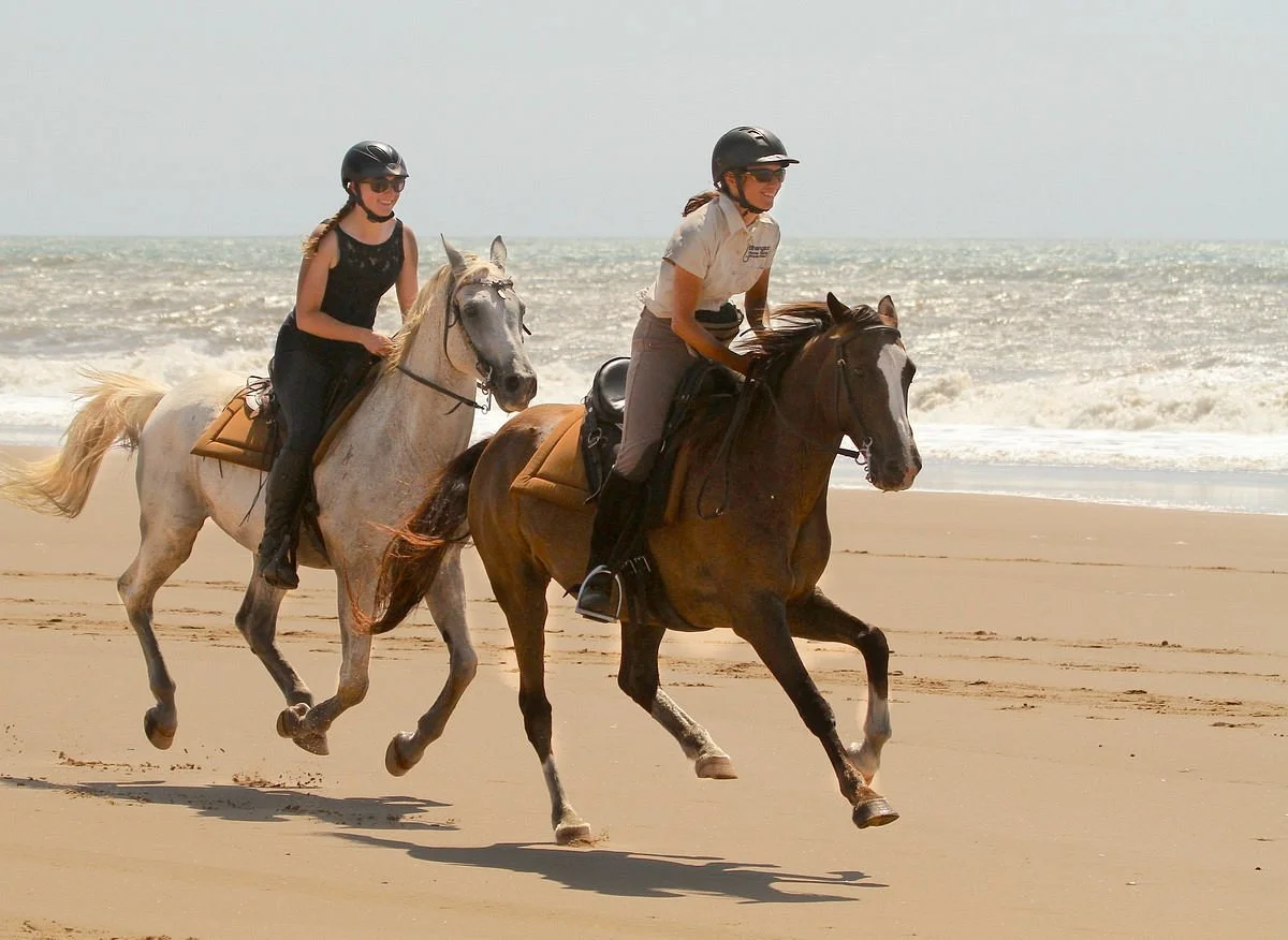 Bhangazi Horse Safaris