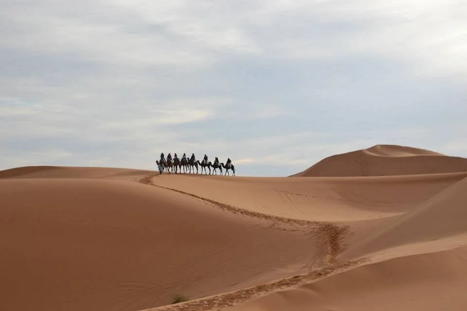 Morocco Magic Tours