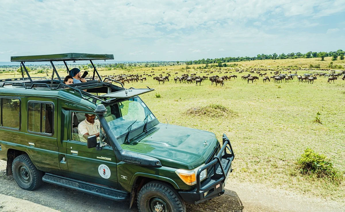 Hoopoe Safaris East Africa