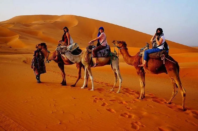 Go Sahara Tours