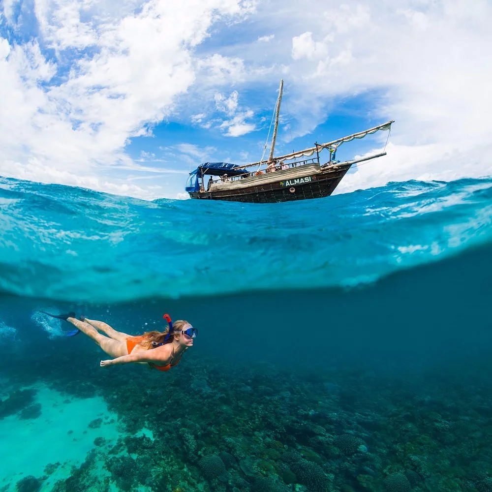 Pilli Pipa Dhow Safari