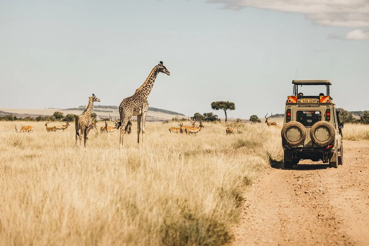 Eyes on Africa