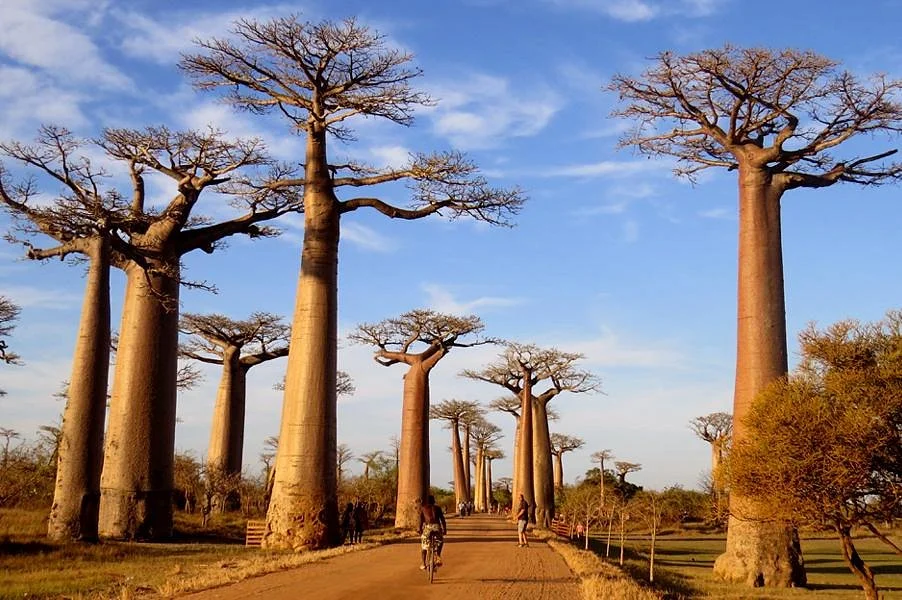 GMT+3 Great Madagascar Tours - Day Tours