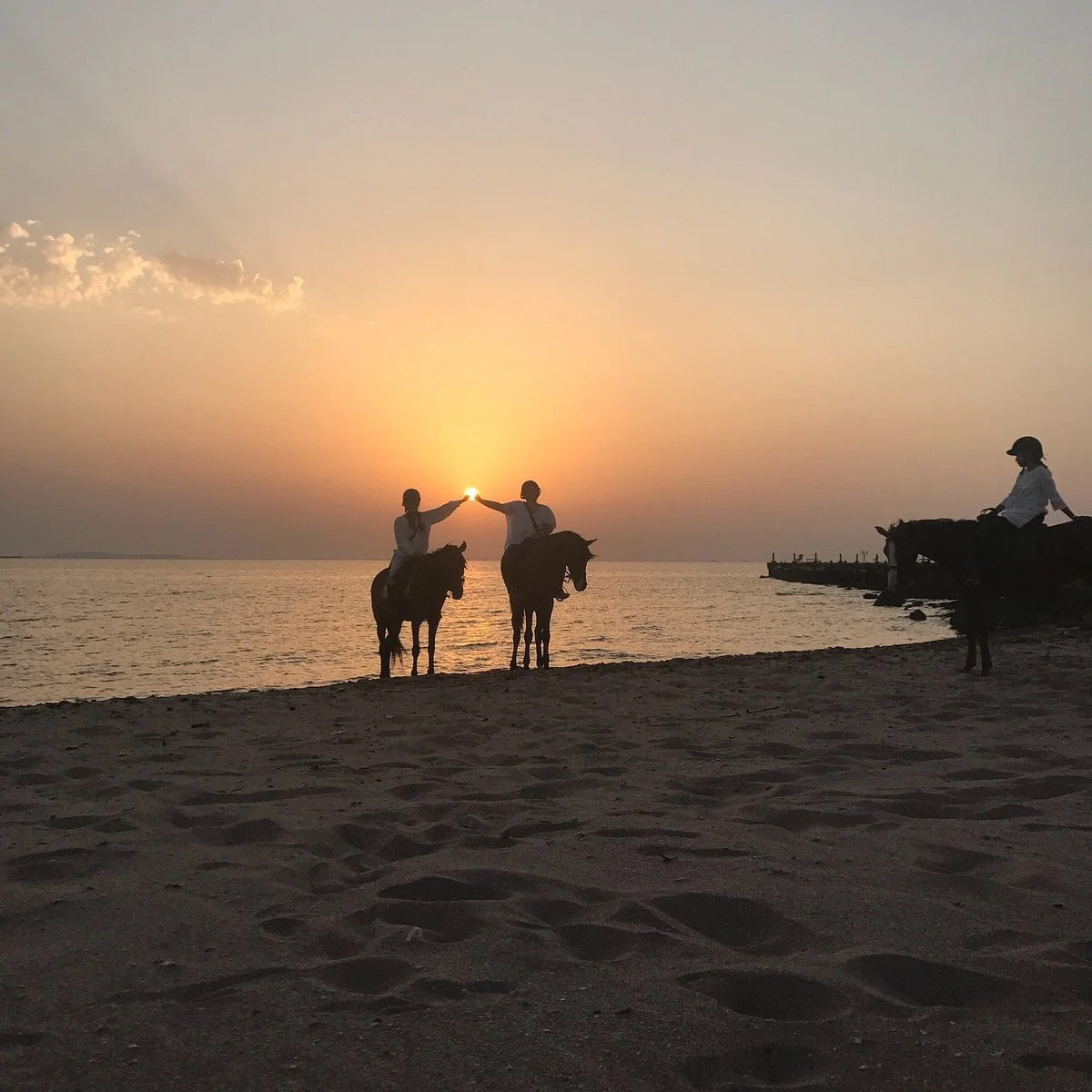 Horse Riding Hurghada