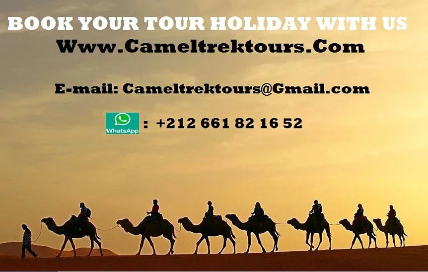 Camel Trek Tours Morocco