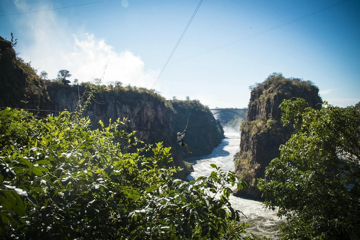 Wild Horizons