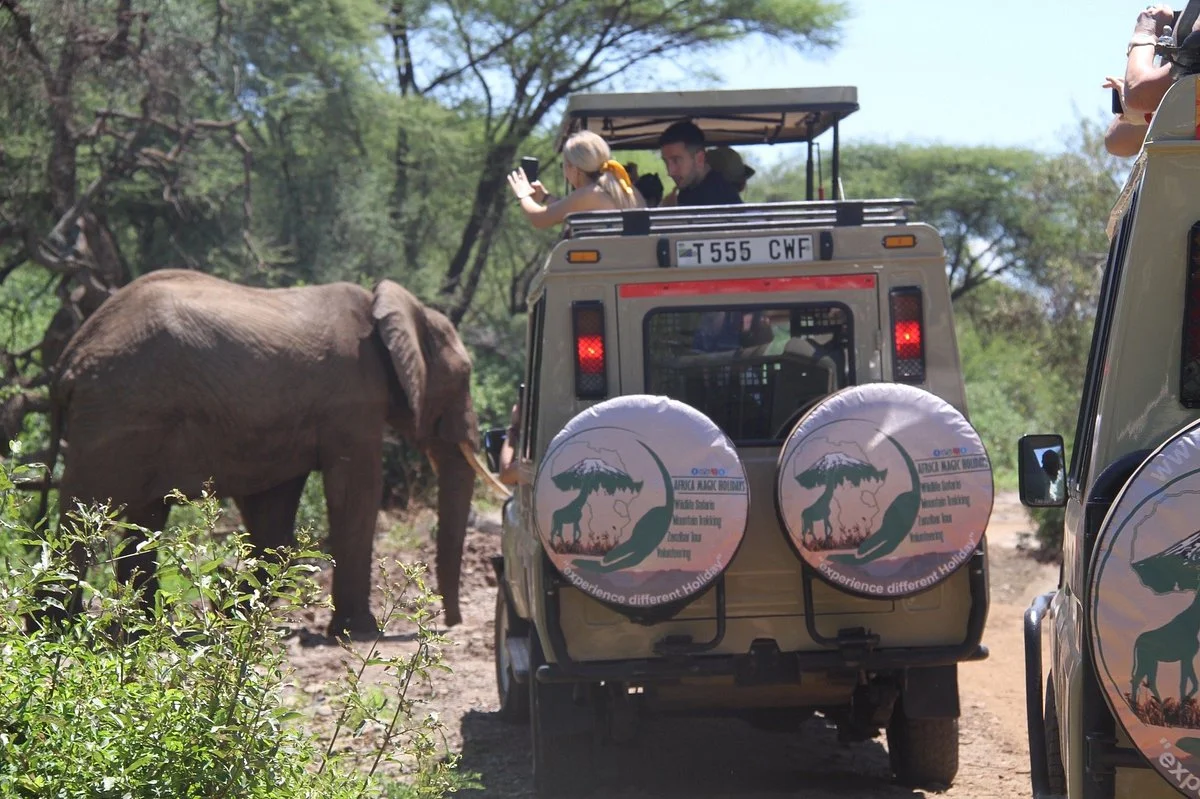Africa Magic Holidays & Tours