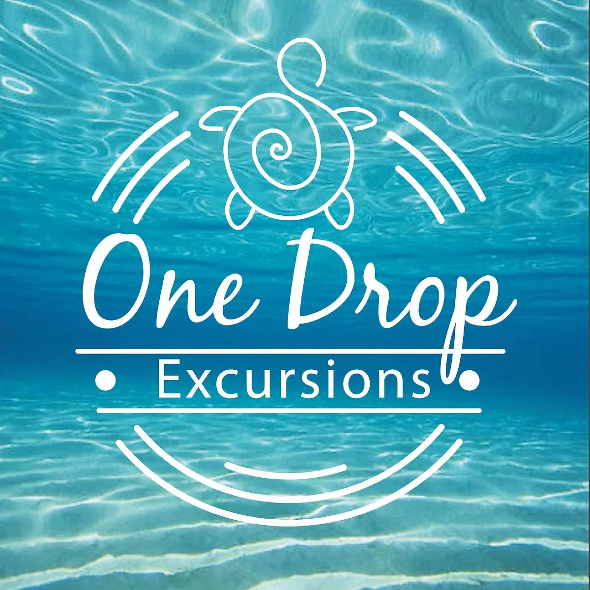 One Drop Excursions