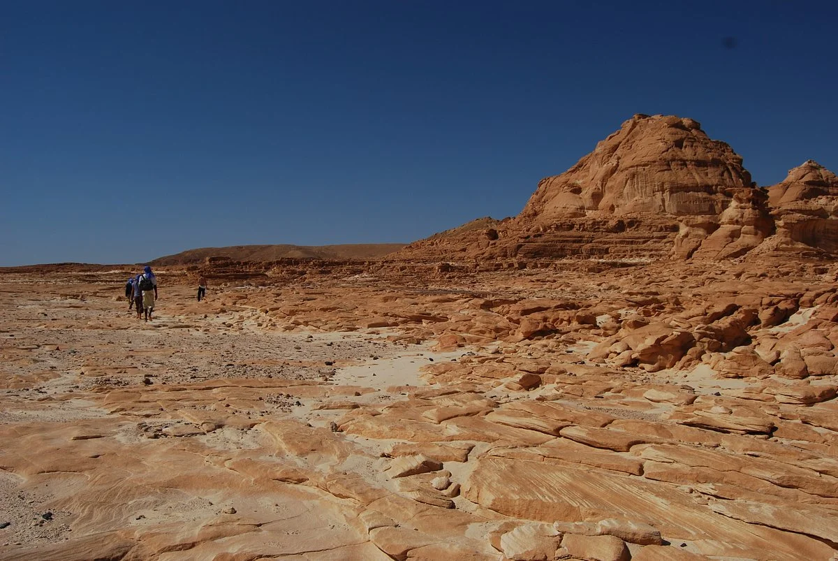 Sinai Safari - Day Tours