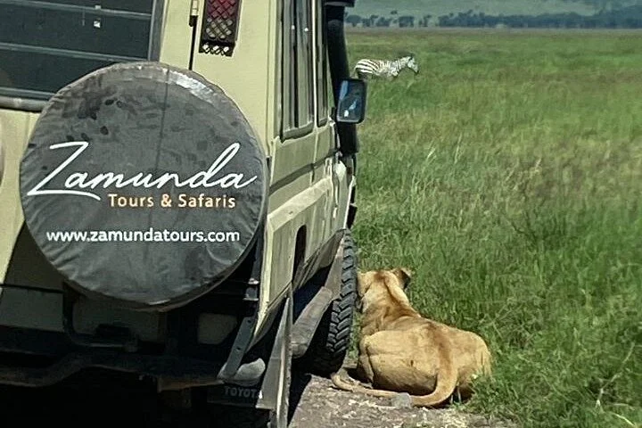 Zamunda Tours & Safaris