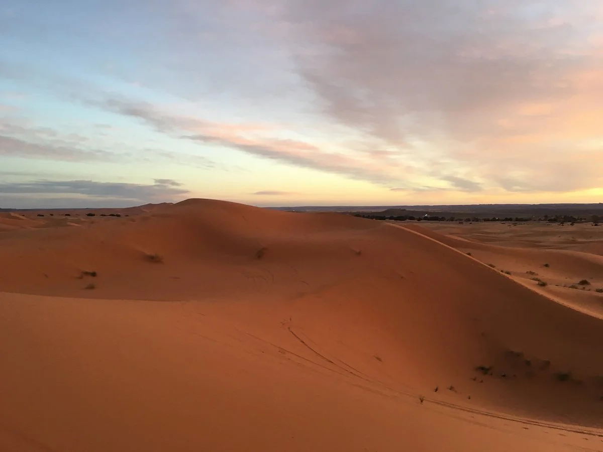 Wild Sahara Journeys