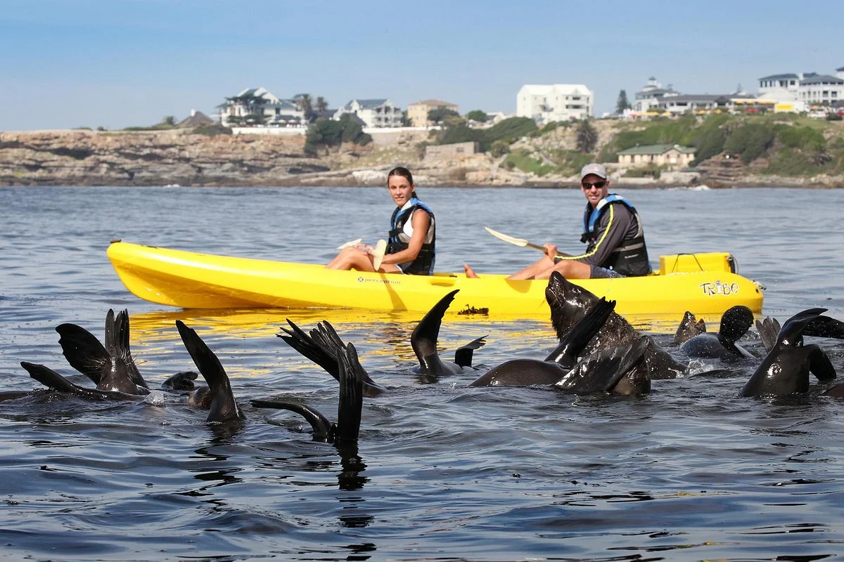 Walker Bay Adventures