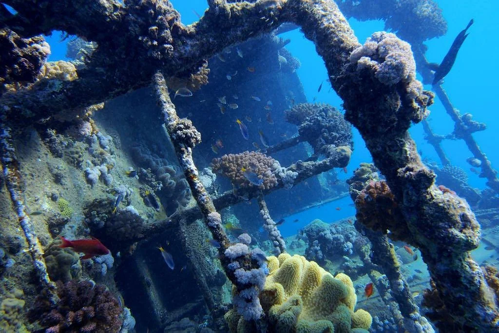 3WILL diving center