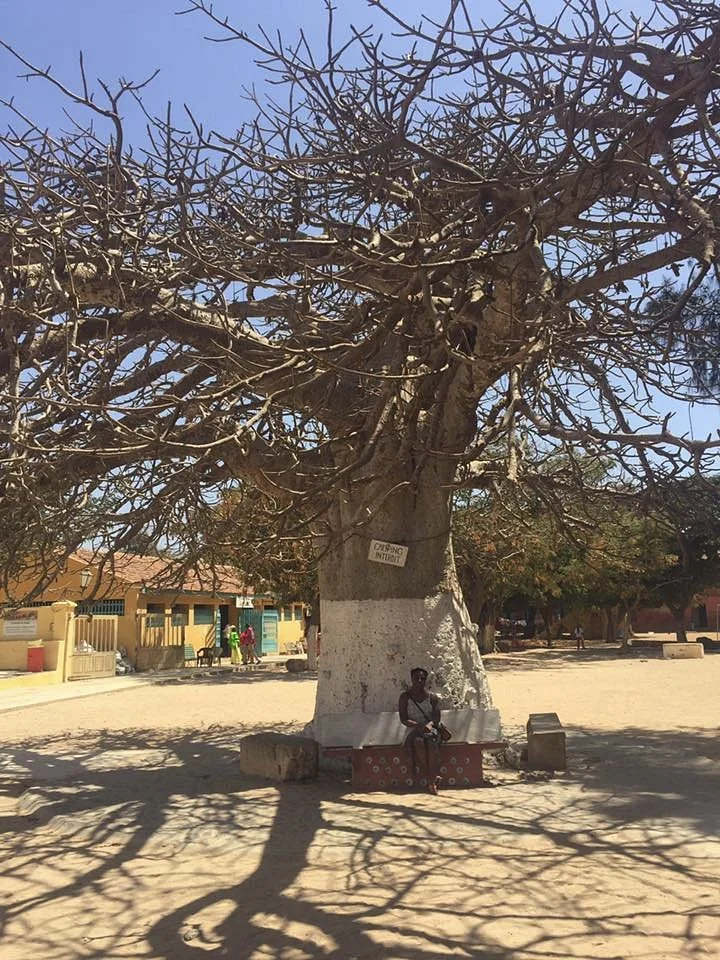 Andaando Travel Tours of Senegal