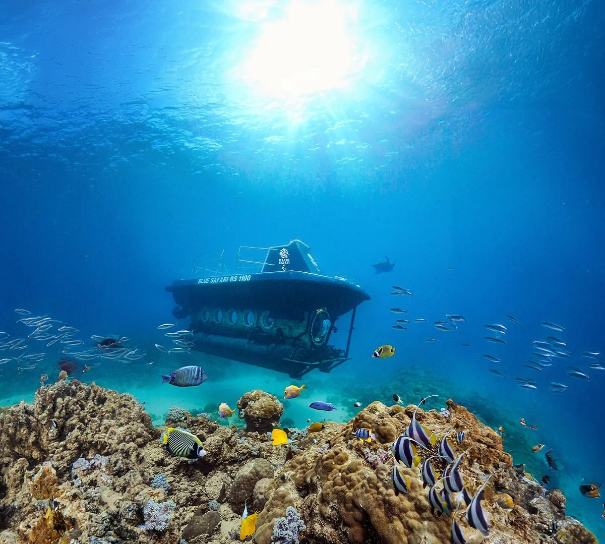 Blue Safari Submarine