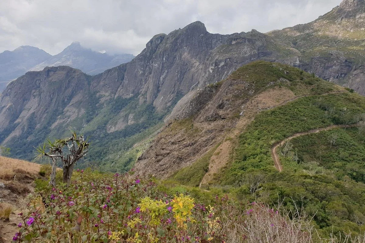 Mulanje Mountain Tour Guide