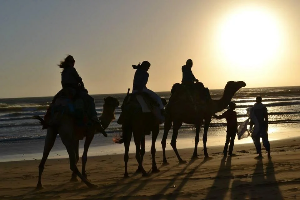 Moroccan Journeys - Day Tours