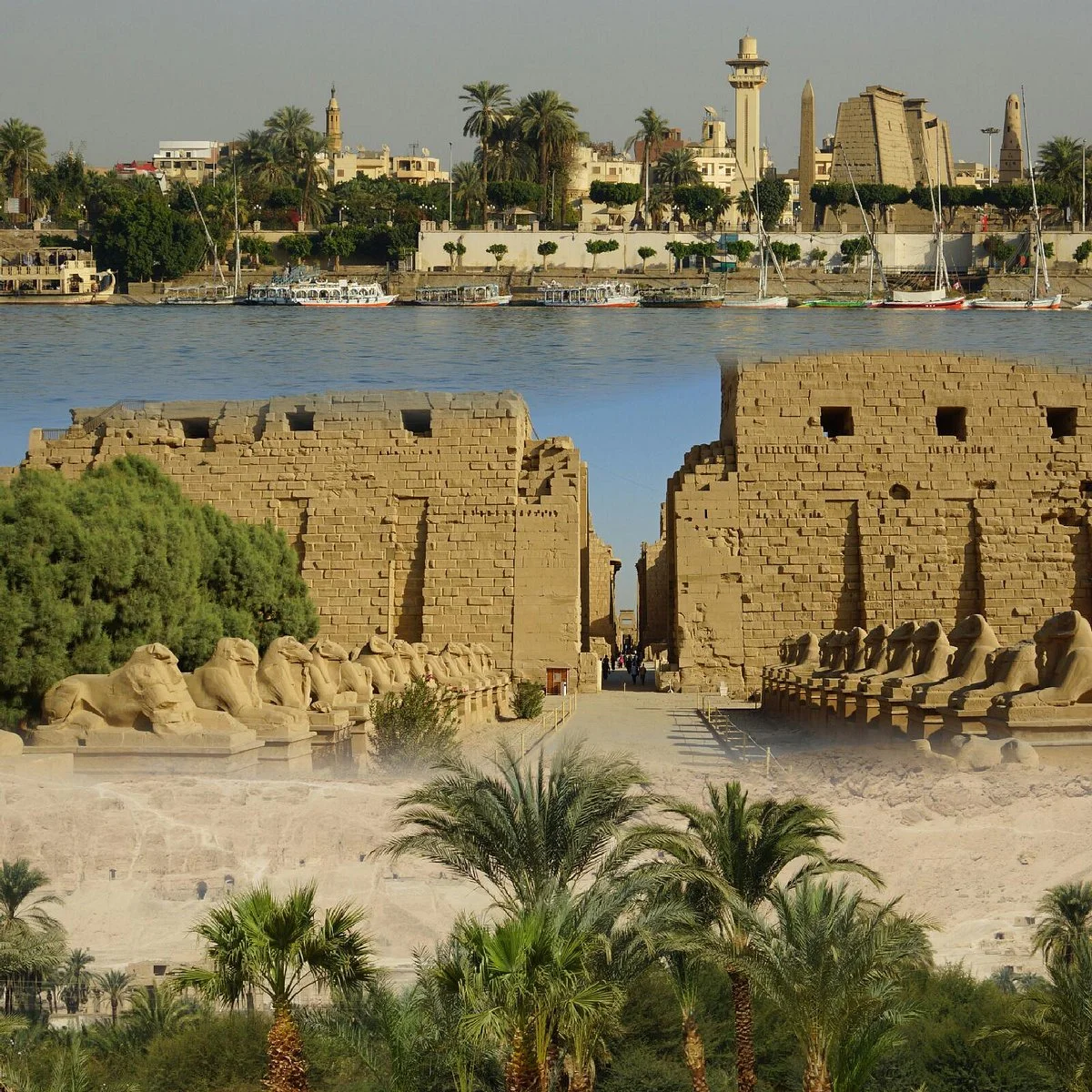 George Marsa Alam & Luxor Transportation