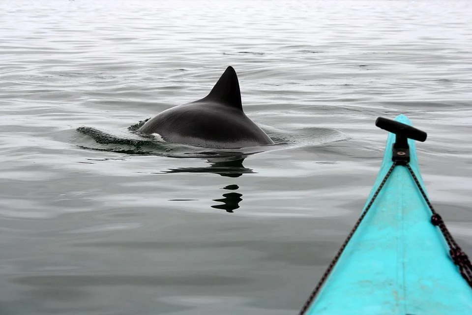 Namibia Kayak Tours