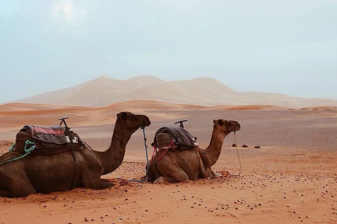 Eco Morocco Travel