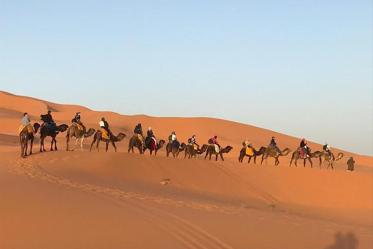Go Marruecos Travel Tours