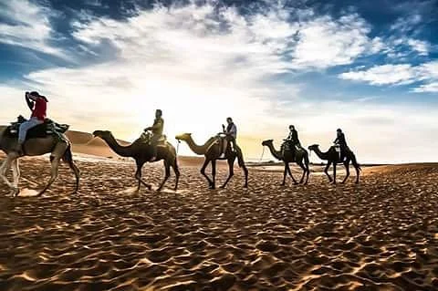 Marrakech Camel Tours