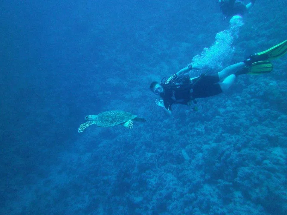Sharm Marine Divers