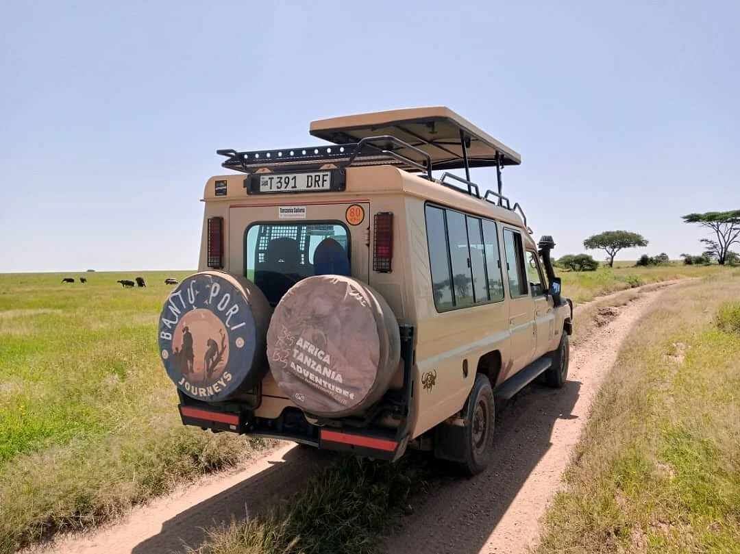 Bantu Pori Journeys