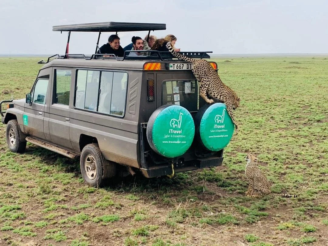 iTravel Safari & Expeditions