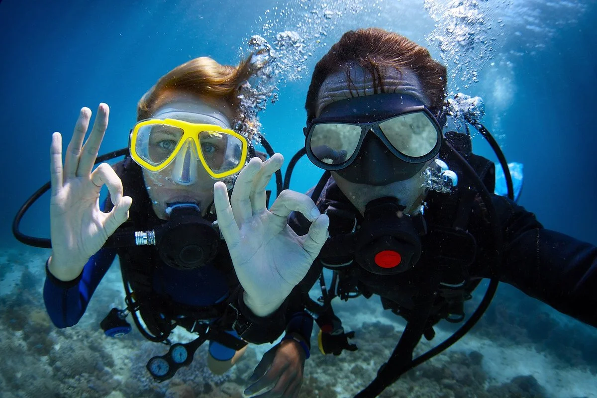 Ocean Experiences