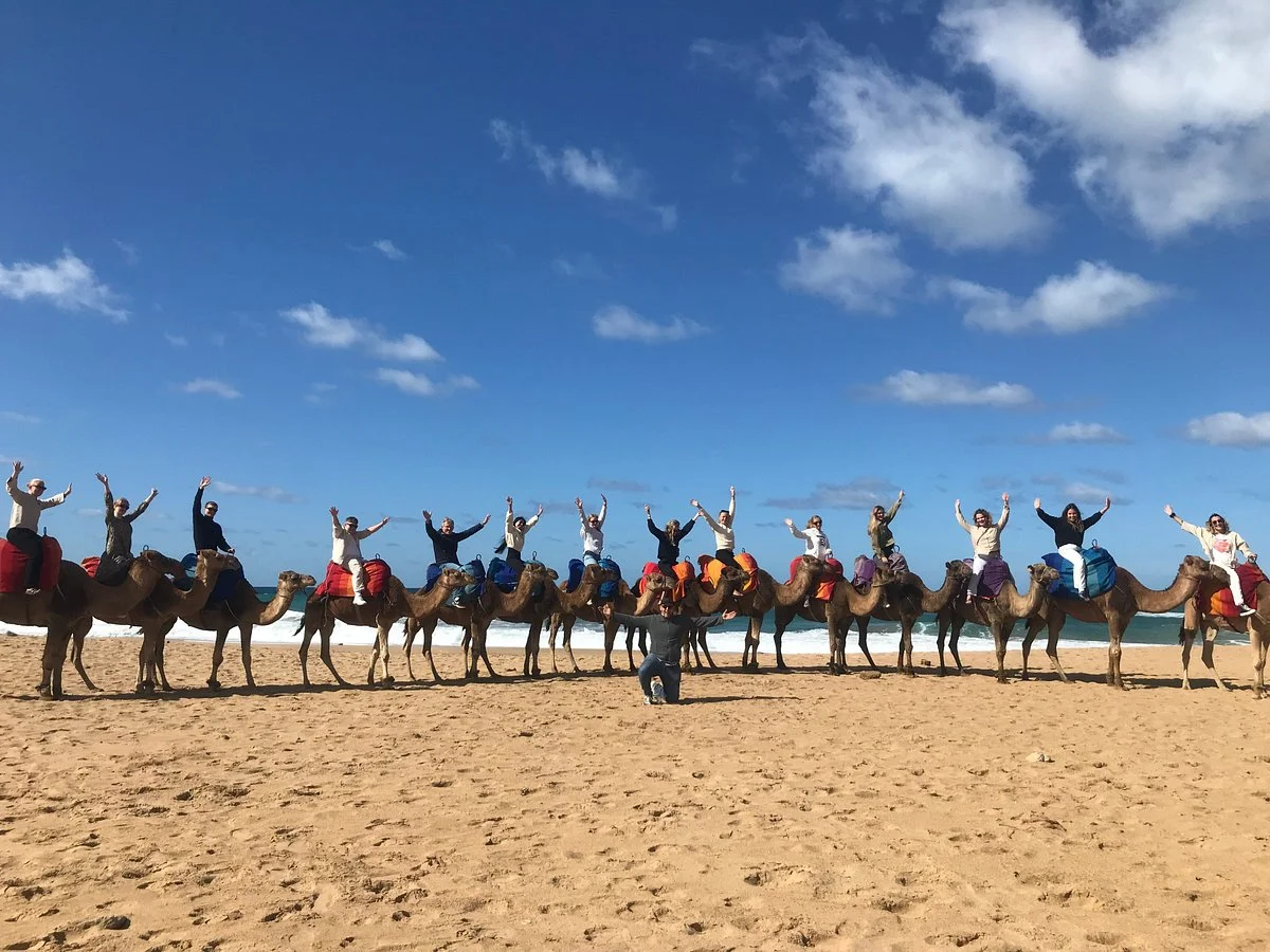 Taoumi Tours - Private Guide