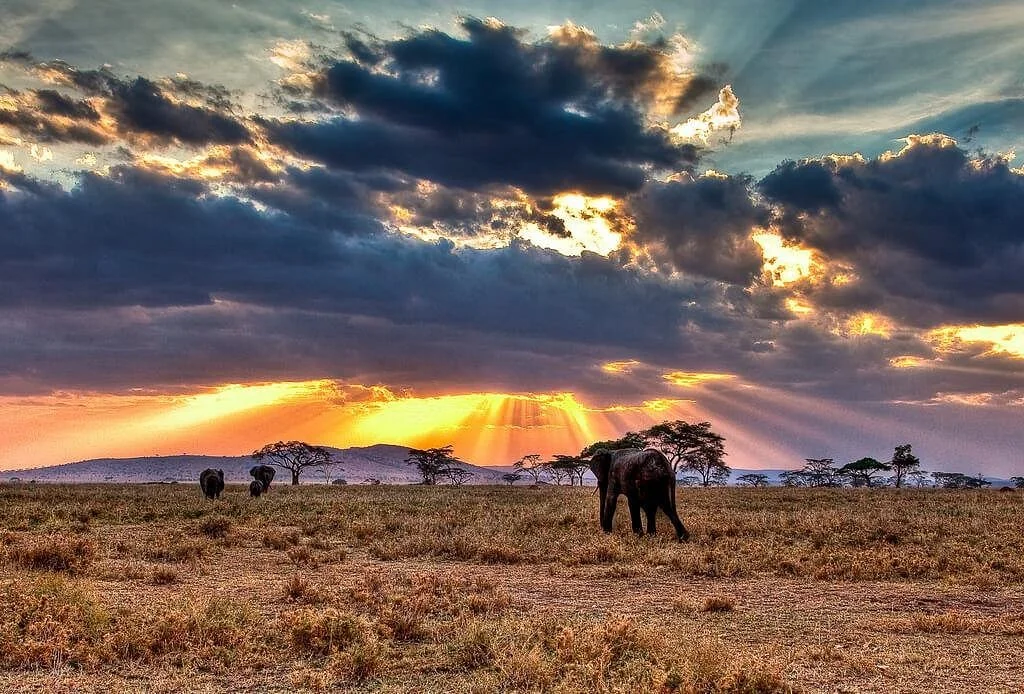 Blit Films & Safaris