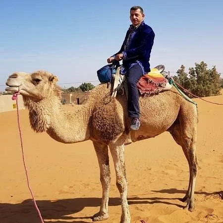 Alex Travel