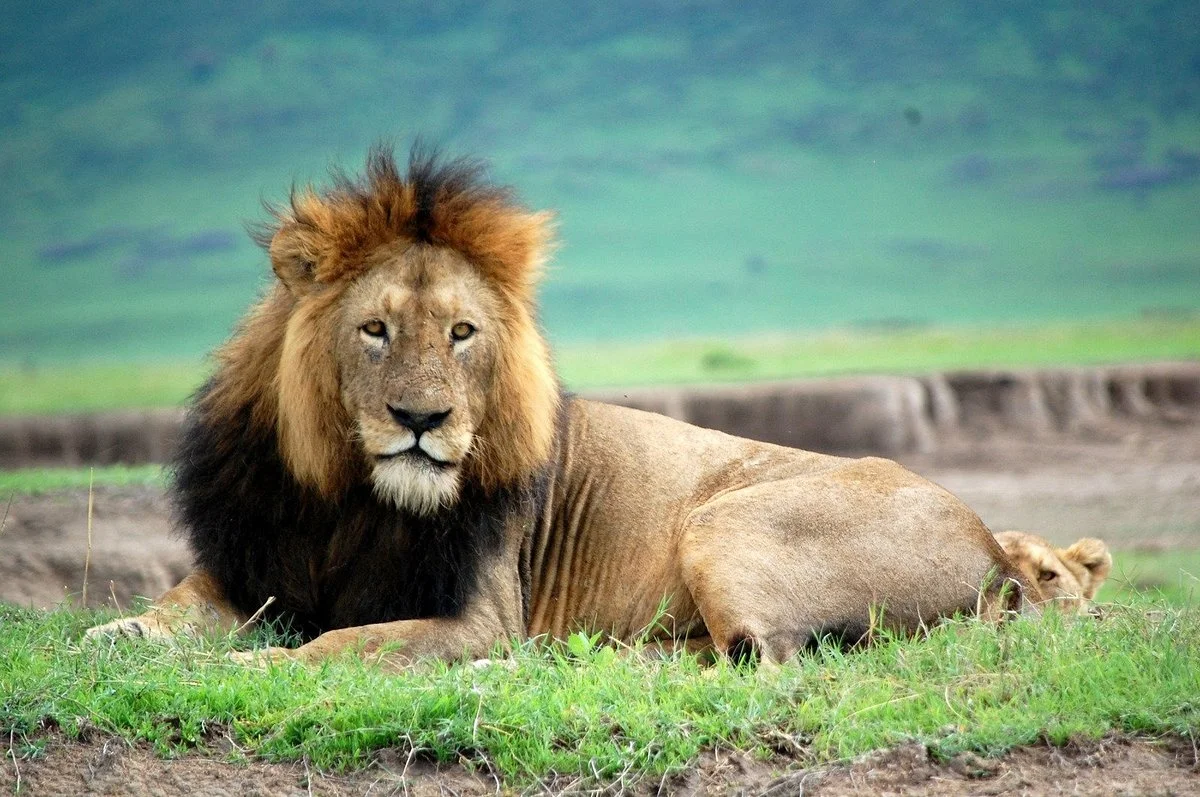 Worldwide Safaris Tanzania