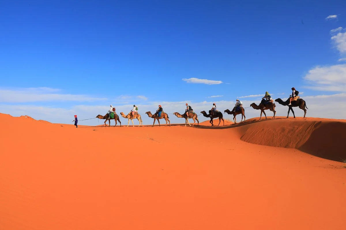 Sahara Routes