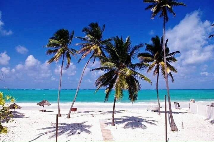Nicolas Zanzibar Tours