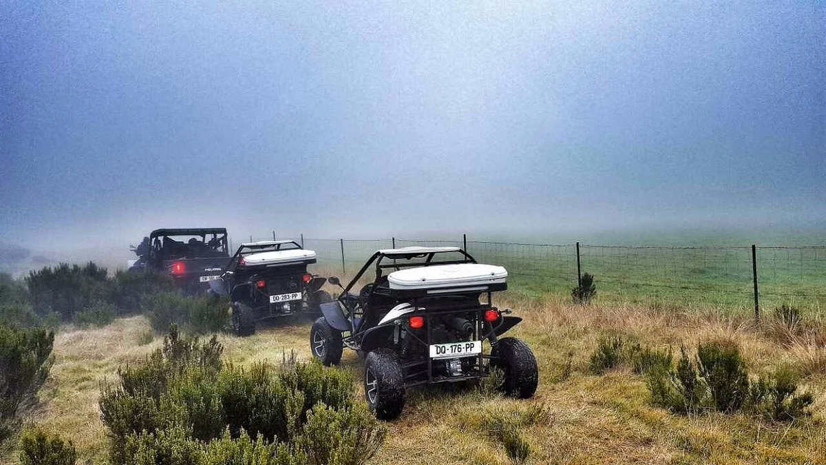 Bugg's Buggy 974