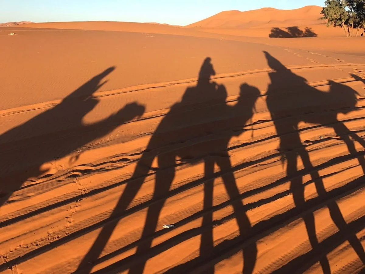 Marrakech Travels