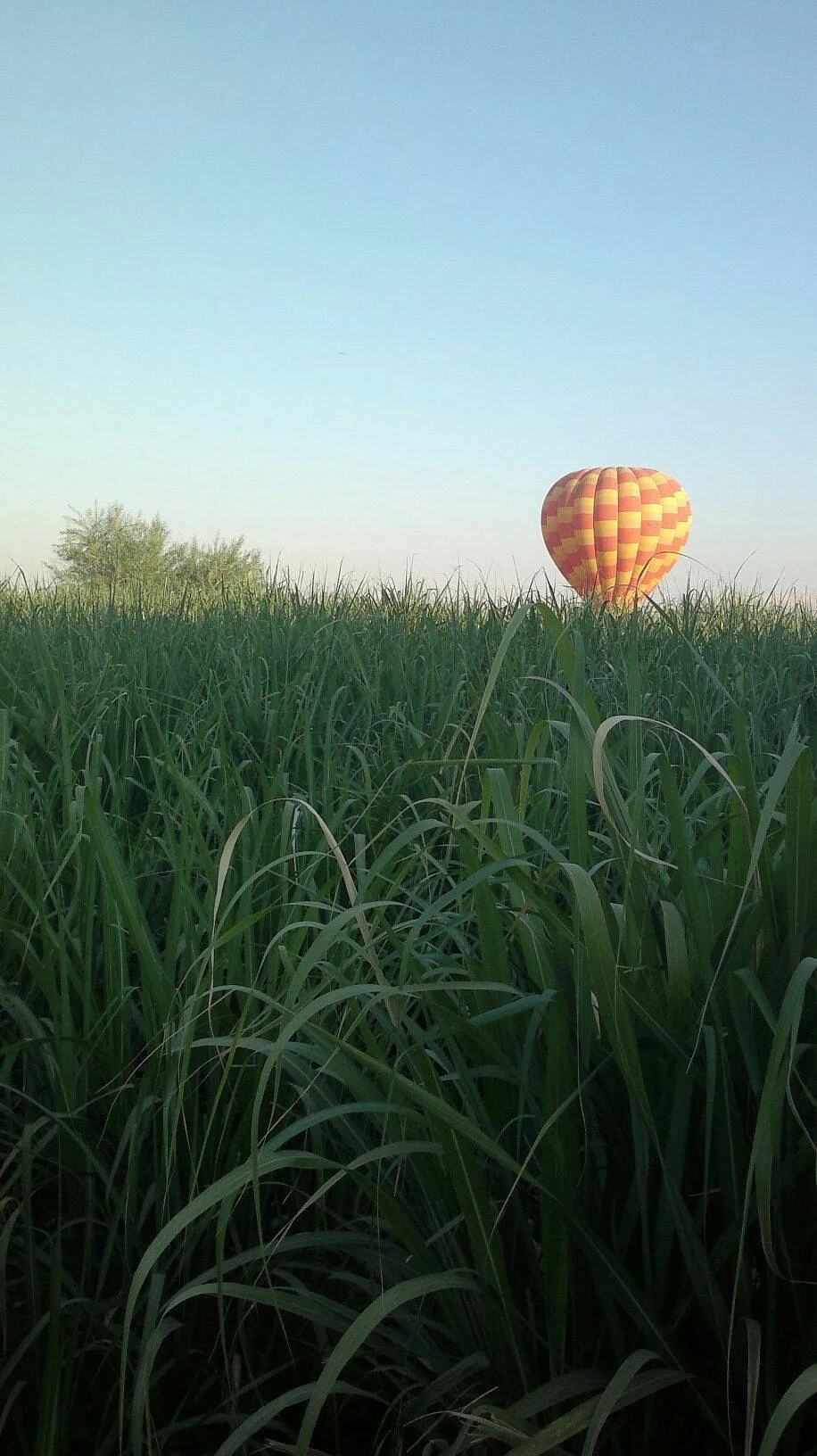 Salem Hot Air  Balloons Luxor