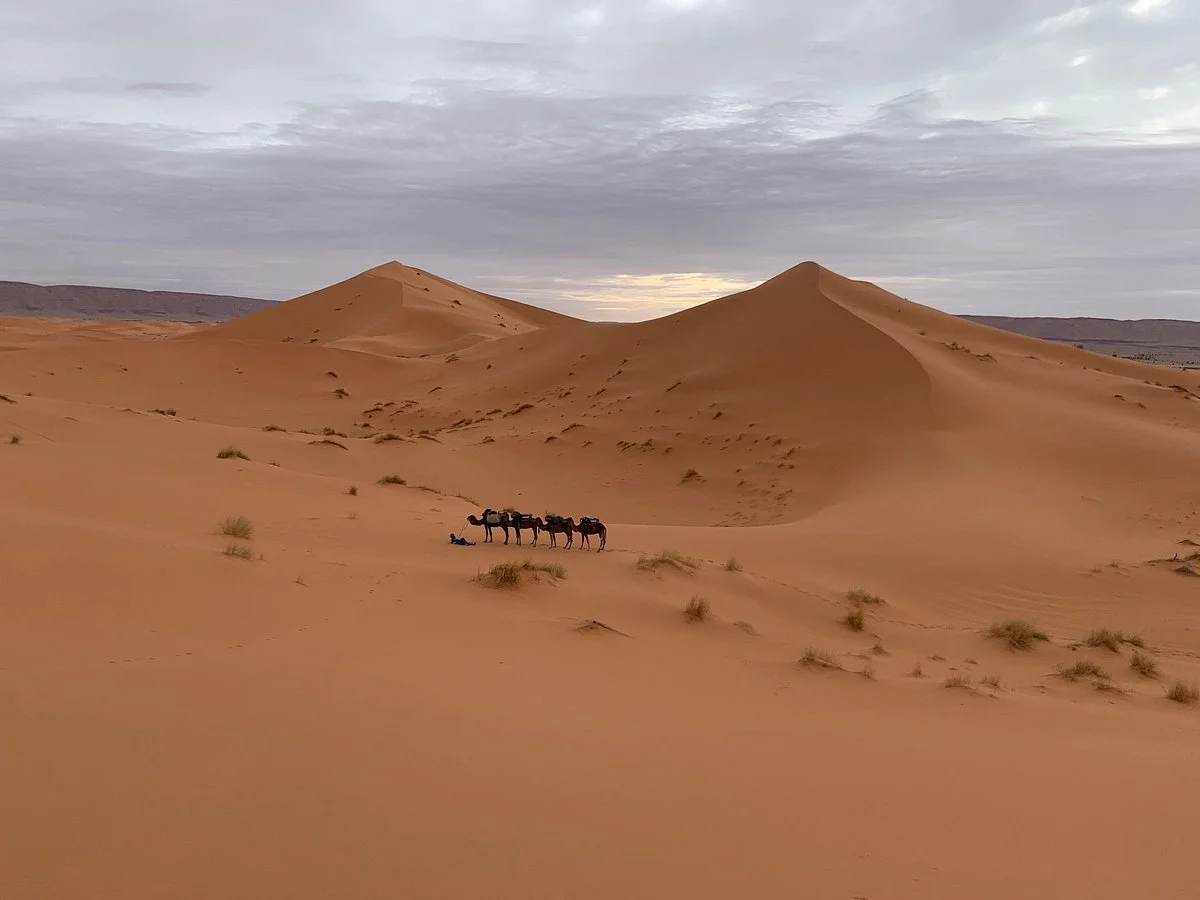 Travel Sahara Morocco