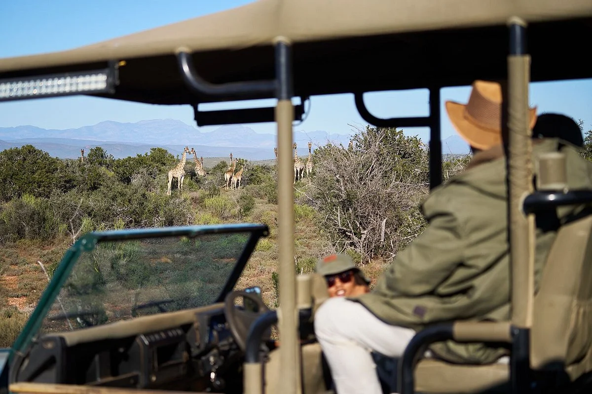 Buffelsdrift Game Lodge - Activities