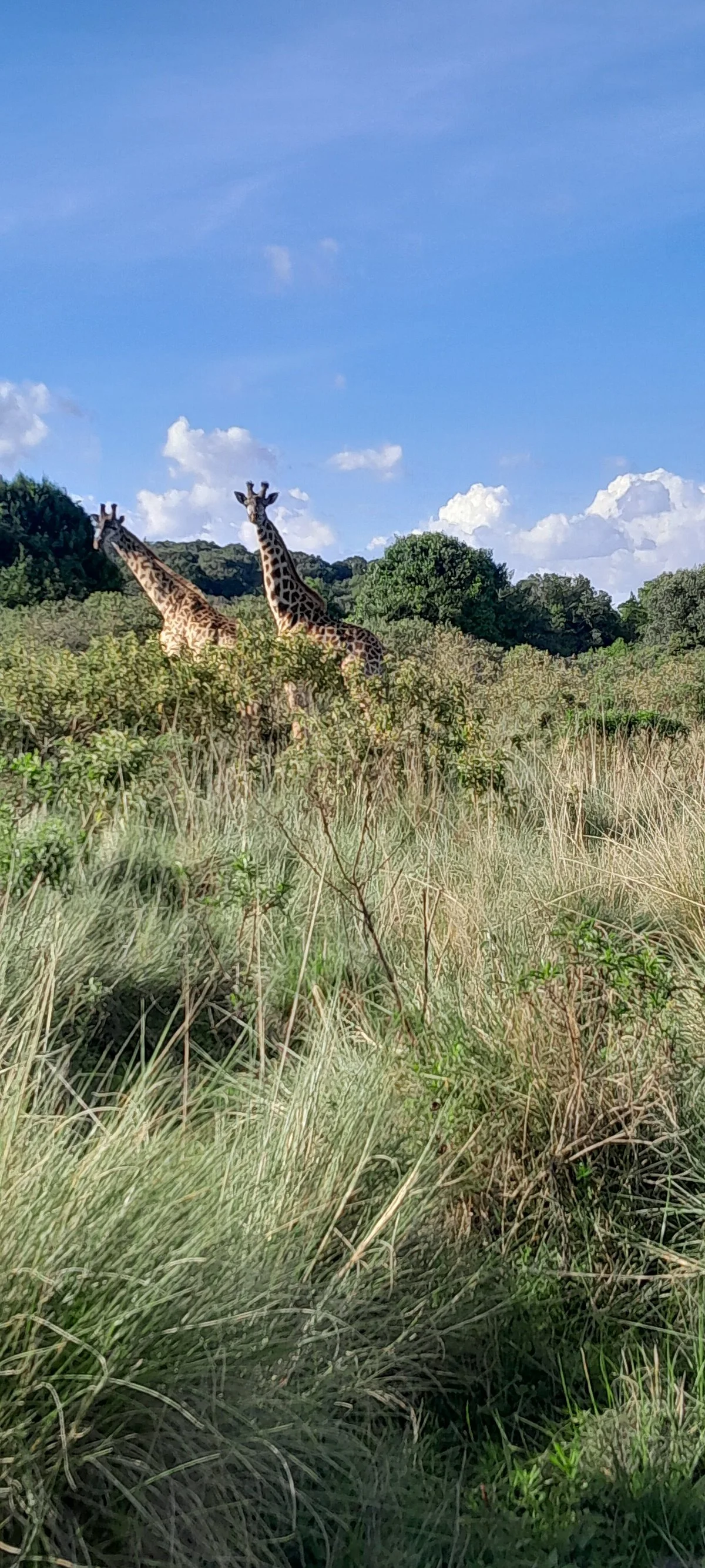 Manyara Travel Club & Climbing