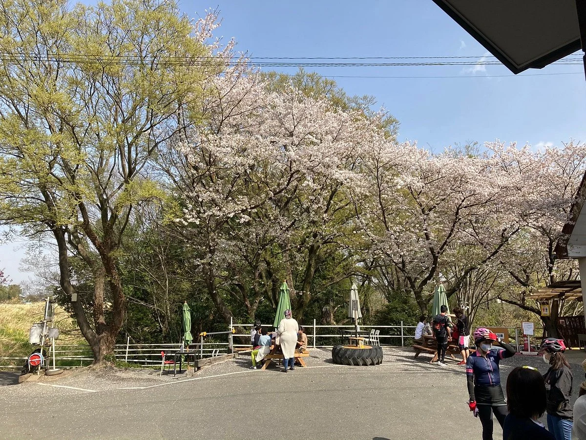Enomoto Diaryfarm